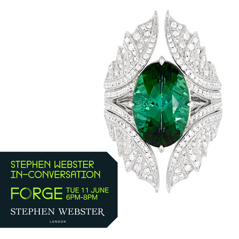 Stephen Webster & The