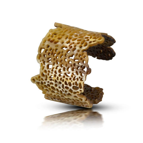 LEARN-TO: Horn Jewellery [NOV 2026]